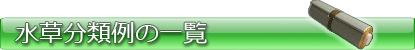 水草の分類一覧